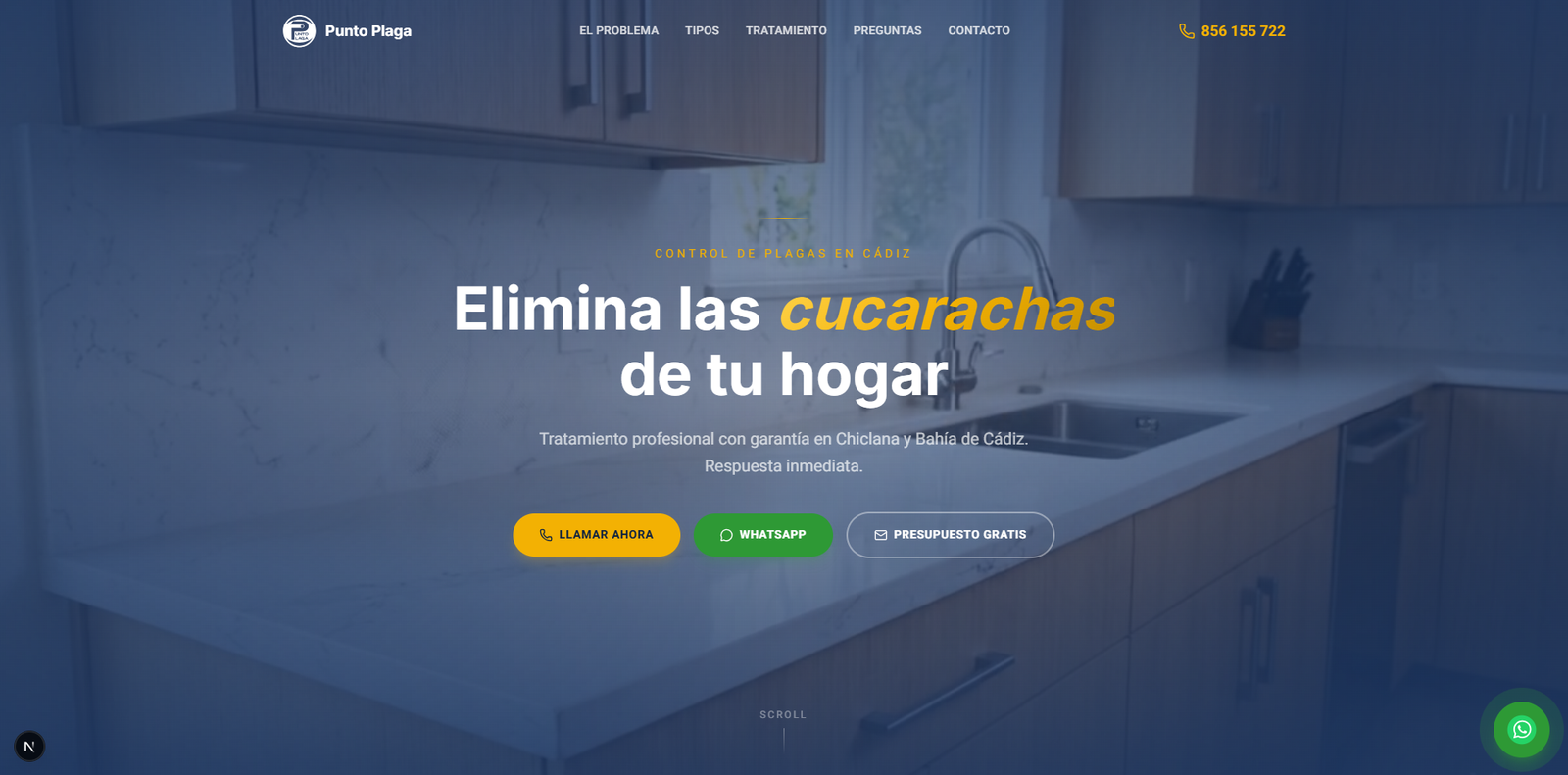 Punto Plaga — control de plagas en Cádiz
